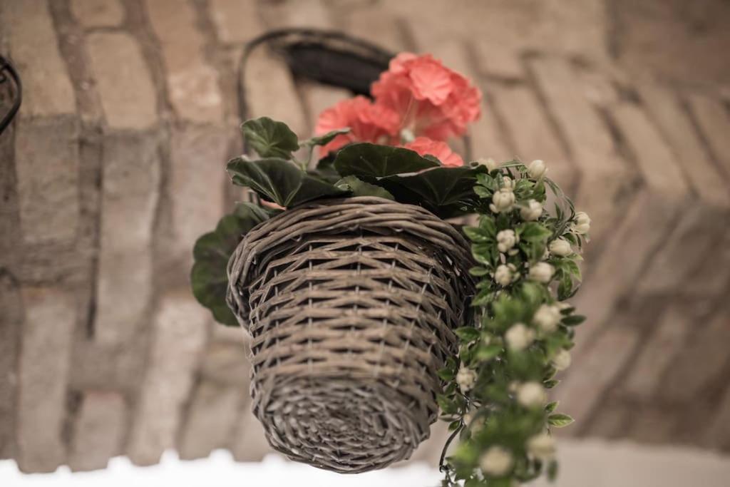 Shabby Apartment @Trastevere ローマ エクステリア 写真